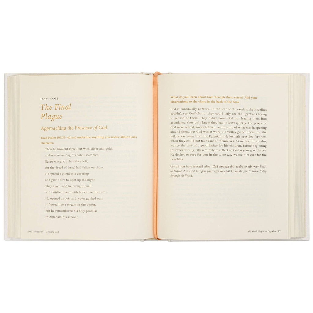 Beyond Egypt by Kari Minter