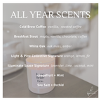 Concentrated Cleaner in Glass Spray Bottle – Just Add Water