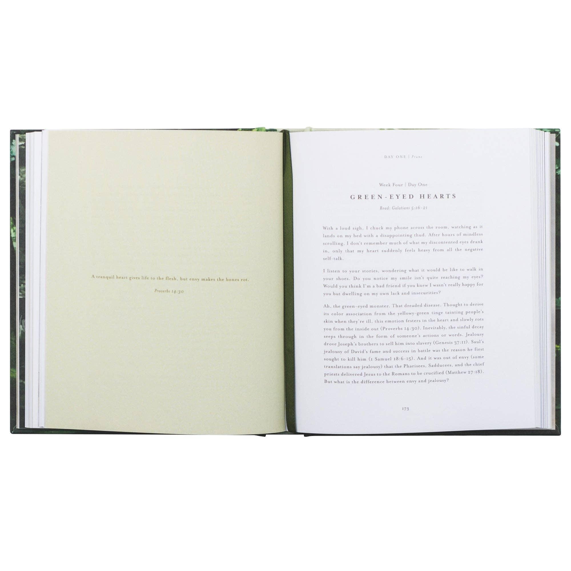 Unfold by Liesl Lamprecht