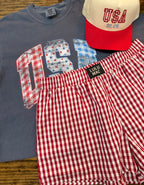 Gingham USA Tee