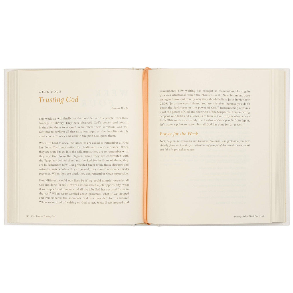 Beyond Egypt by Kari Minter