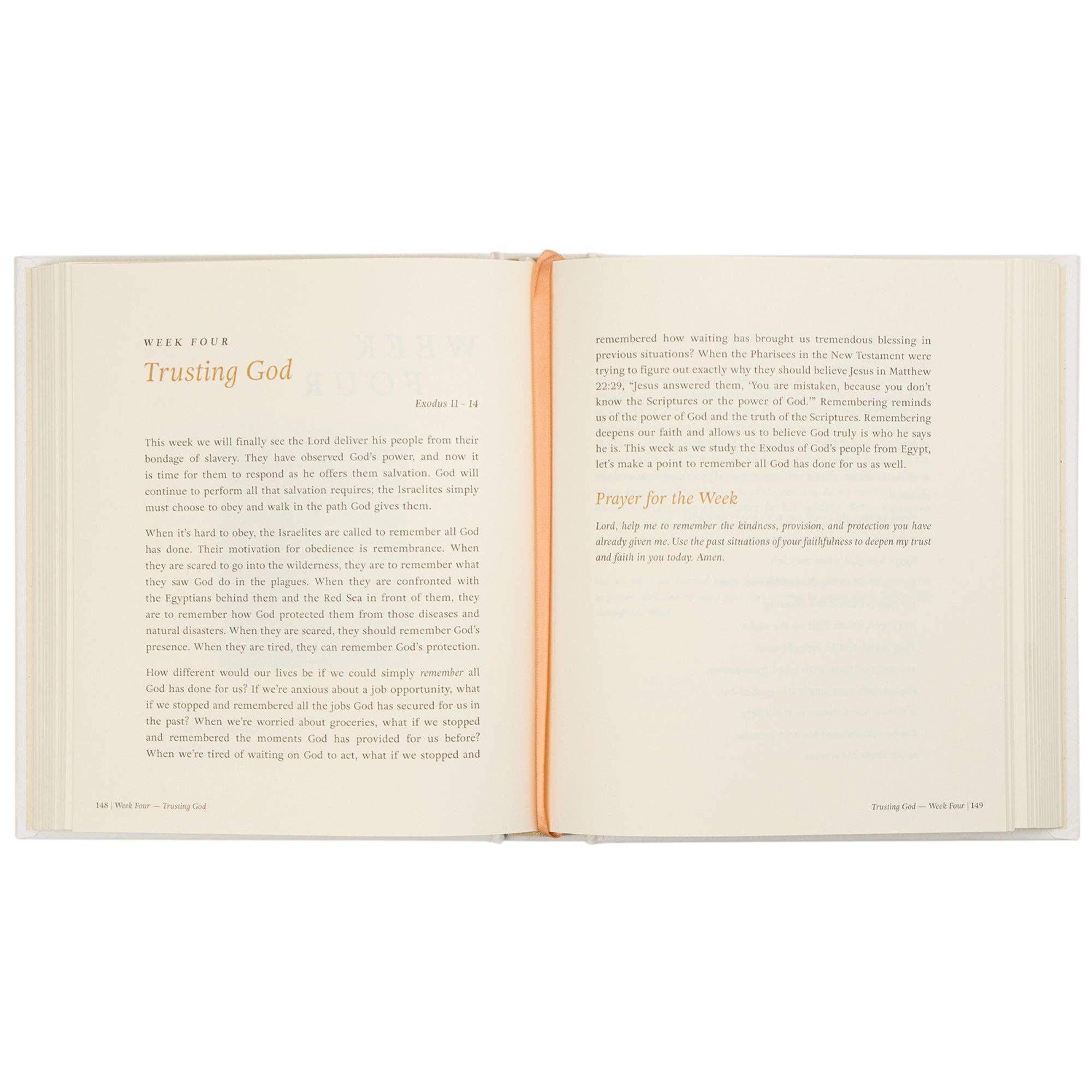 Beyond Egypt by Kari Minter