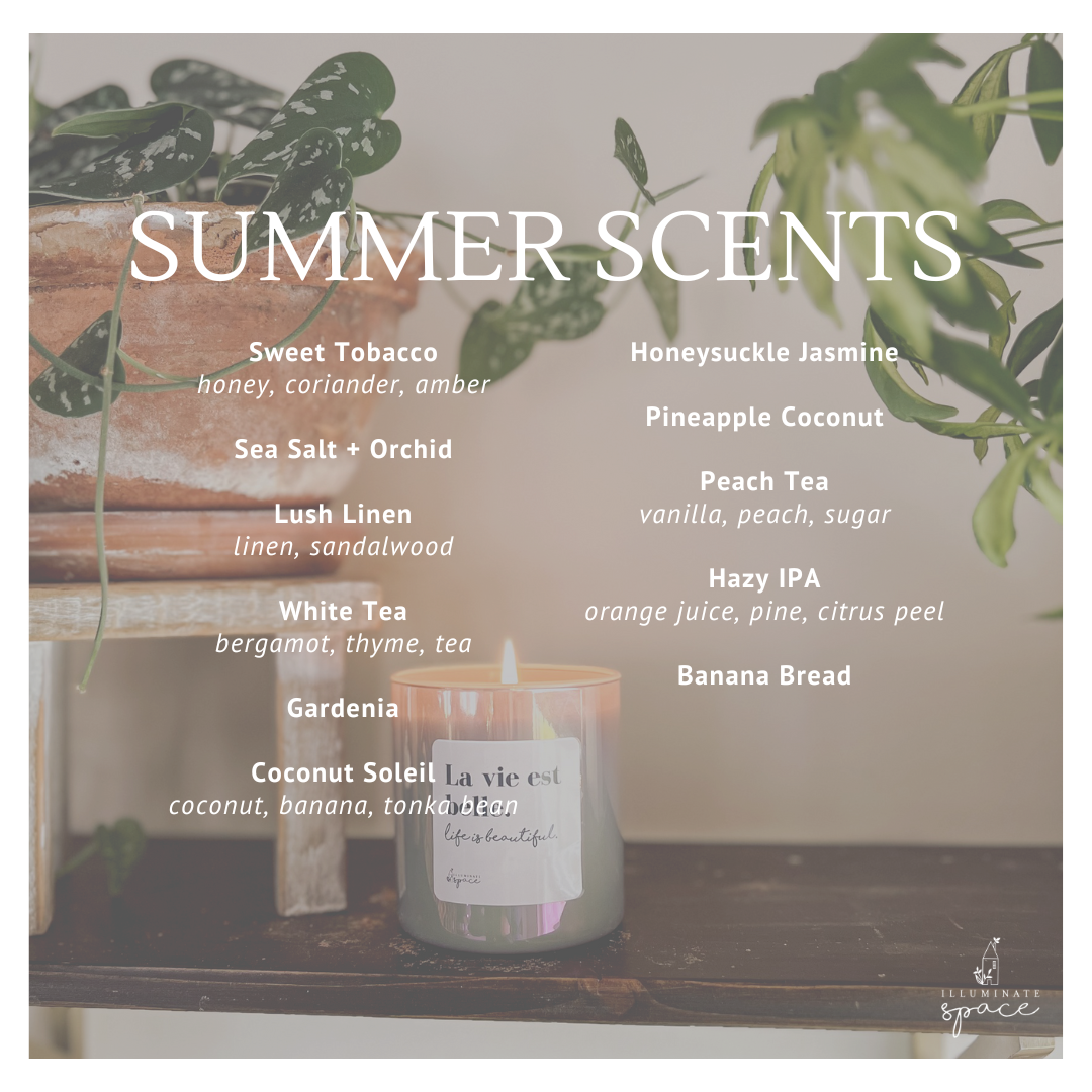 Concentrated Cleaner in Glass Spray Bottle – Just Add Water