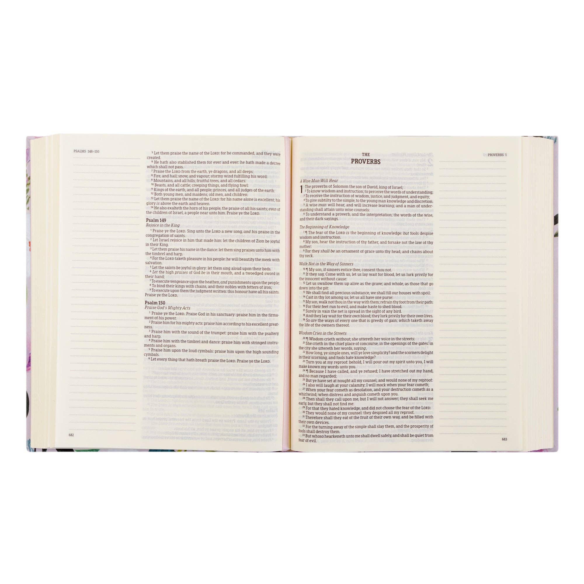 KJV Large Print Notetaking Bible : Charlotte Theme
