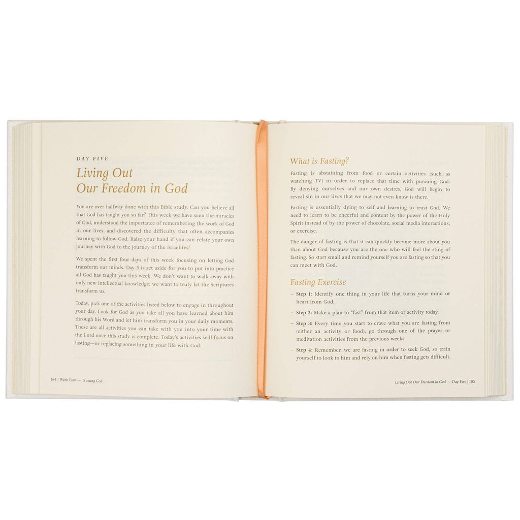 Beyond Egypt by Kari Minter